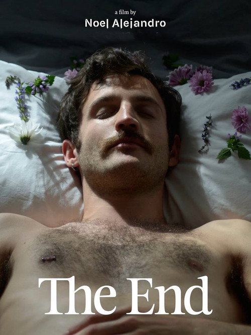 Movie poster for The End (2018)