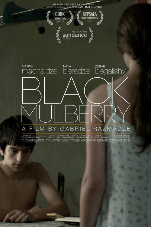 Movie poster for Black Mulberry (2012)