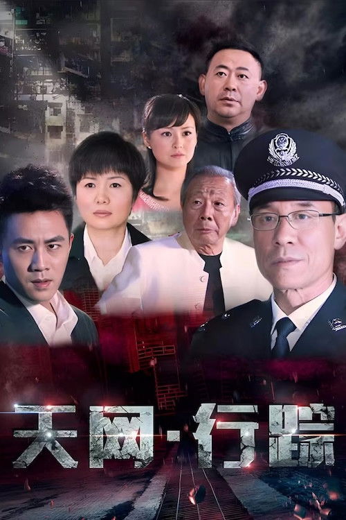 天网·行踪 poster