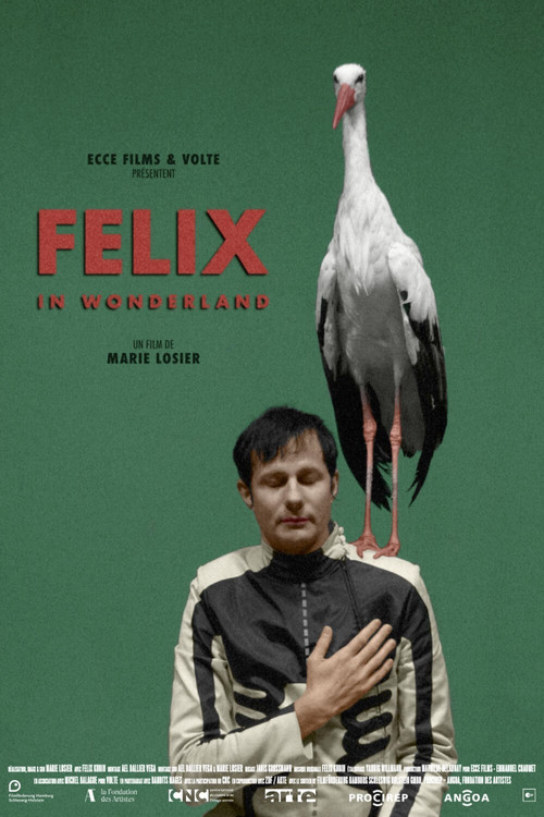 Movie poster for Felix in Wonderland (2019)