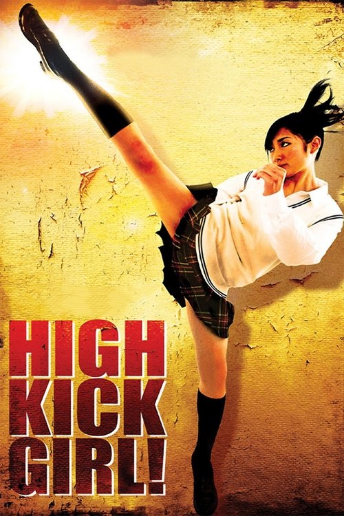 Movie poster for High Kick Girl! (2009)