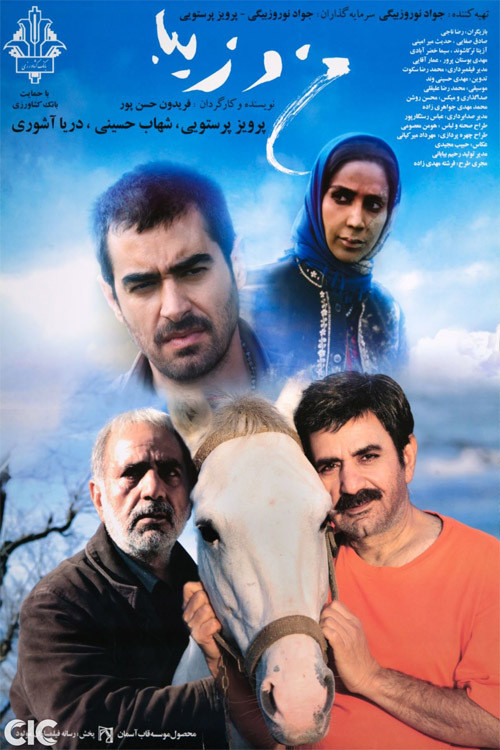 Movie poster for Ziba and I (2013)