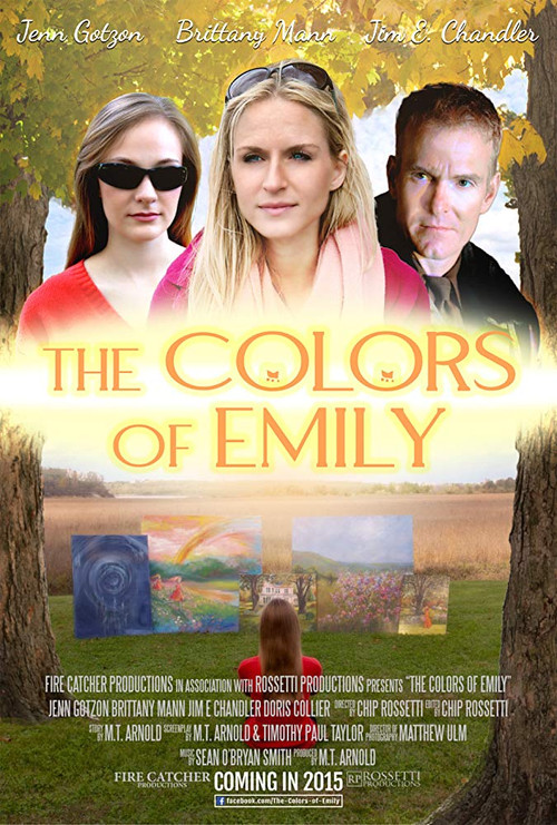 Movie poster for The Colors of Emily (2017)