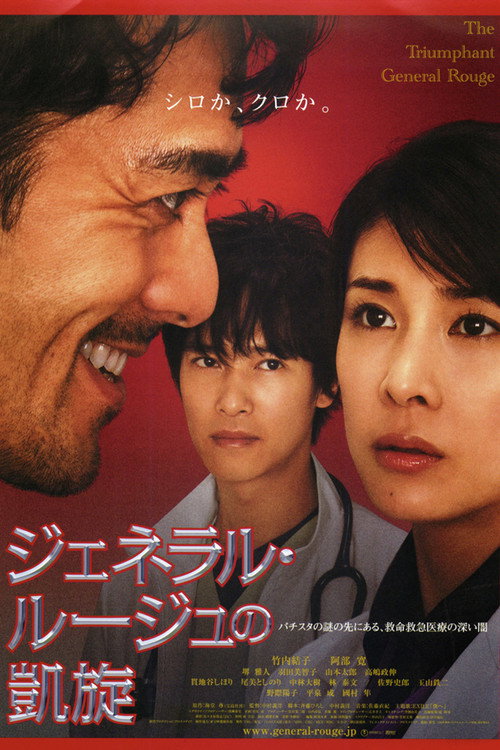 Movie poster for The Triumphant Return of General Rouge (2009)