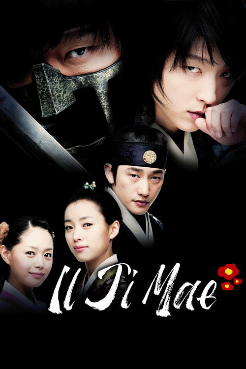Series poster for Iljimae (2008)
