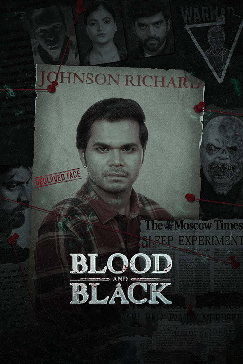 Movie poster for Blood and Black (2024)