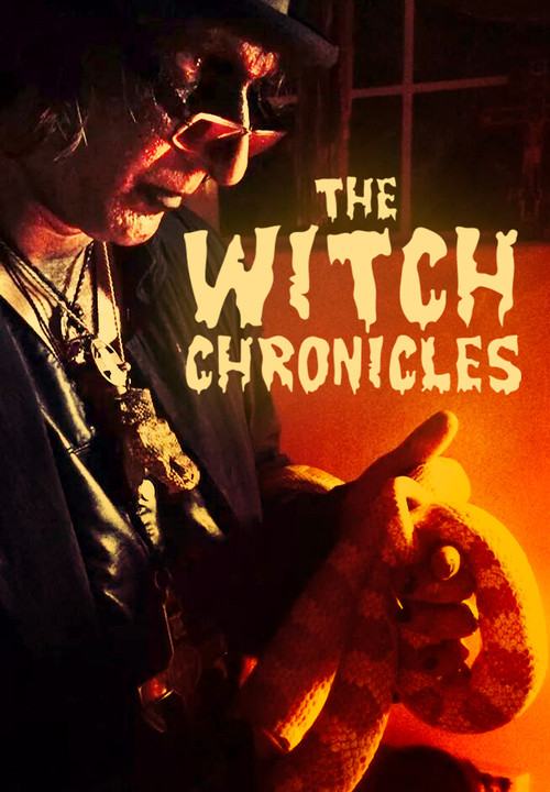 Movie poster for The Witch Chronicles (2015)