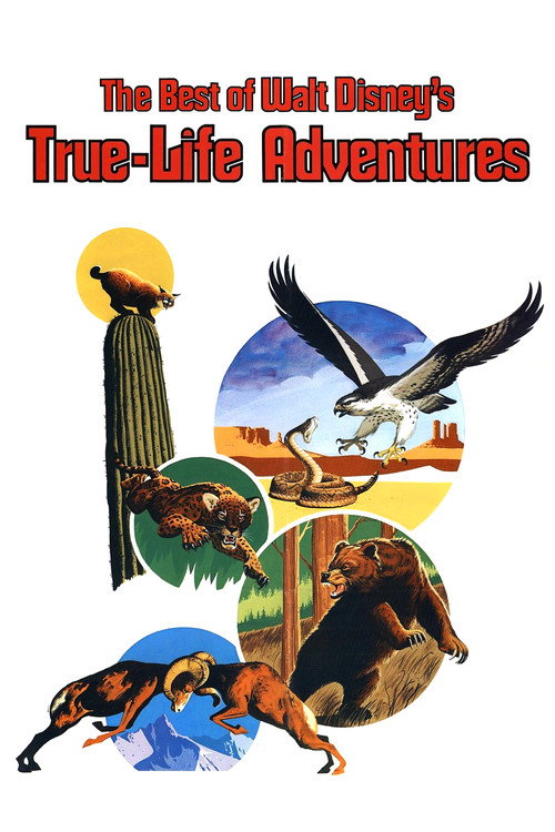 Movie poster for The Best of Walt Disney's True-Life Adventures (1975)