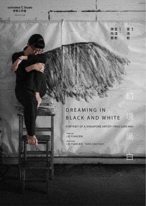 Movie poster for Dreaming in Black and White (2017)