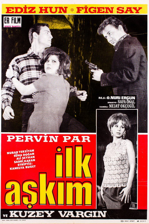 Movie poster for İlk Aşkım (1967)