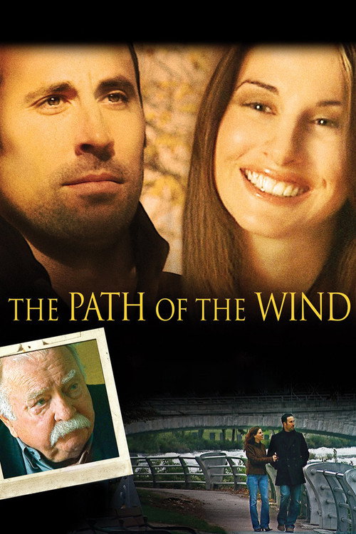 Movie poster for The Path of the Wind (2009)