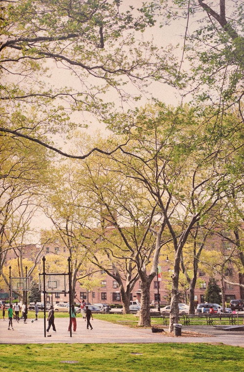 Movie poster for The Park (2017)