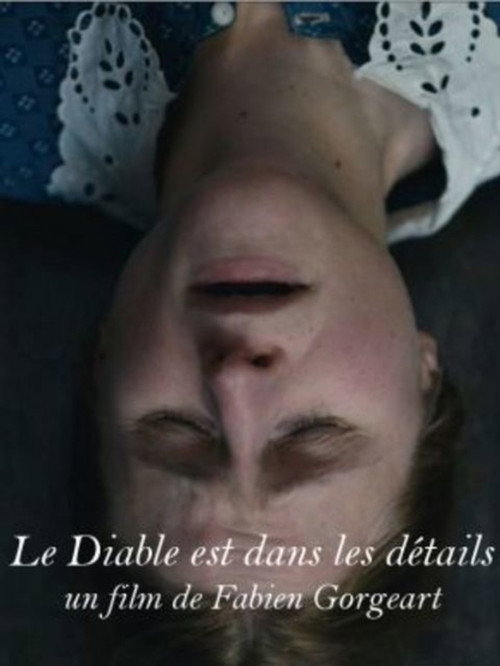 Movie poster for The Devil is in the Details (2016)