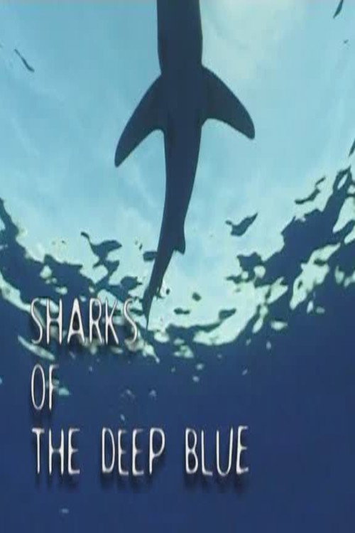 Movie poster for Sharks of the Deep Blue (1999)