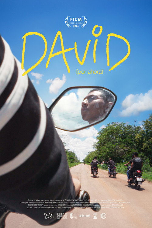 Movie poster for David (For Now) (2024)