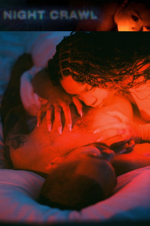 Movie poster for Night Crawl (2024)