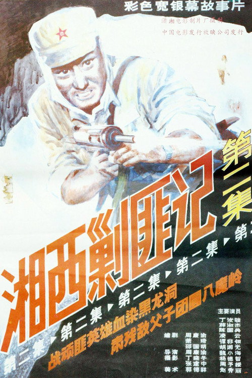 Movie poster for Xiang Xi Jiao Fei Ji (Part II) (1987)