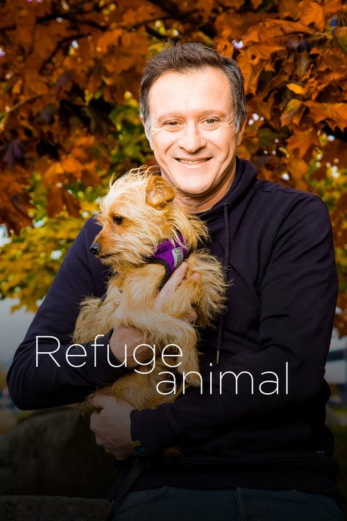 Series poster for Animal Shelter (2016)