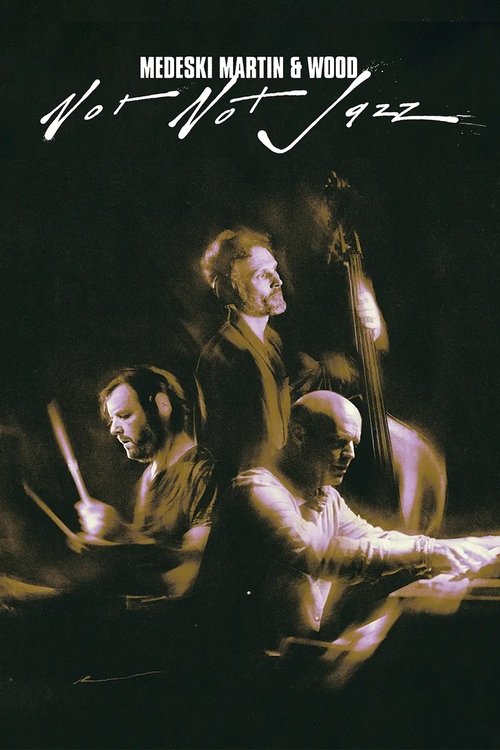 Movie poster for Not Not Jazz (2024)