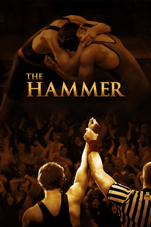 Movie poster for The Hammer (2010)