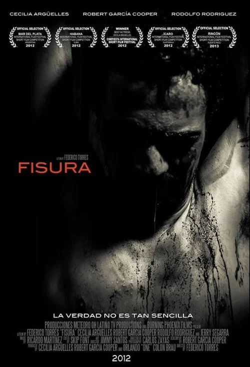 Movie poster for Fisura (2012)