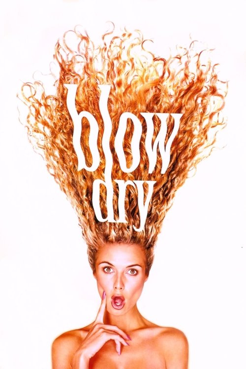 Movie poster for Blow Dry (2001)