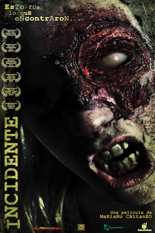 Movie poster for Incident (2010)
