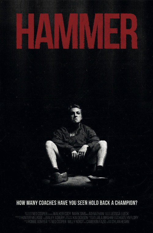 Movie poster for Hammer (2021)
