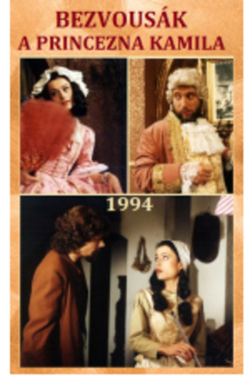 Movie poster for Bezvousák a princezna Kamila (1994)