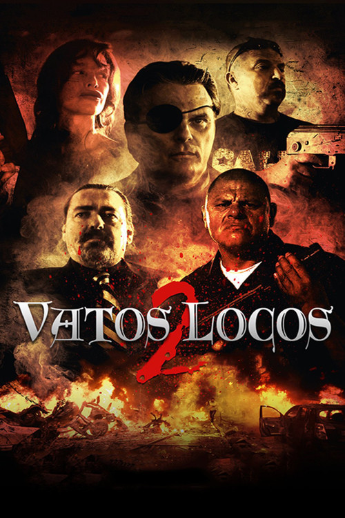 Movie poster for Vatos Locos 2 (2016)