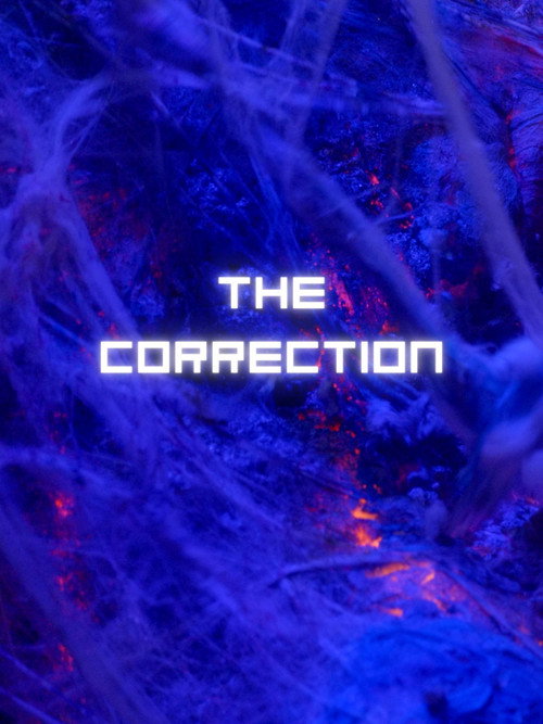 Movie poster for The Correction (2025)