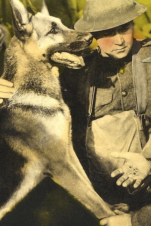 Movie poster for His Master's Voice (1925)