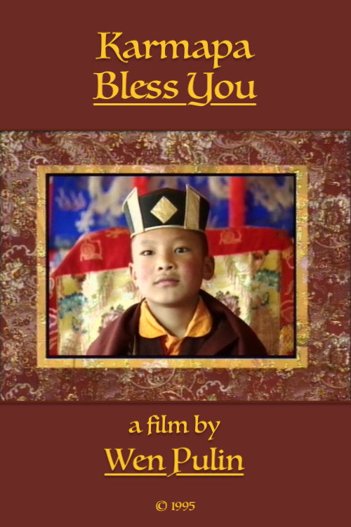 Movie poster for Karmapa Bless You (1995)