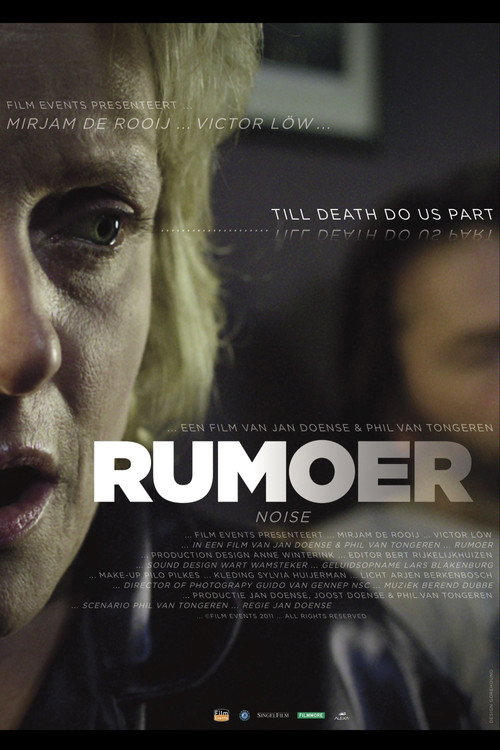 Movie poster for Noise