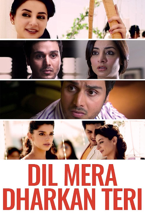 Movie poster for Dil Mera Dhadkan Teri (2013)
