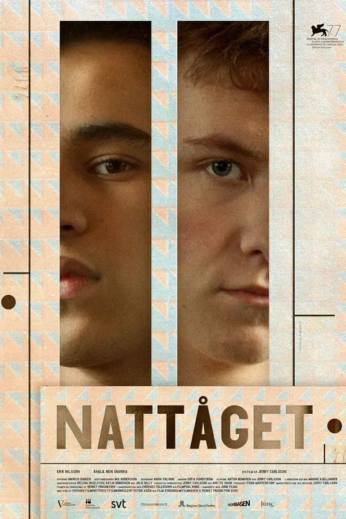 Movie poster for The Night Train (2020)