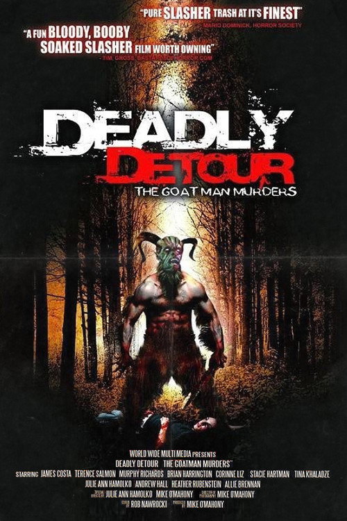 Movie poster for Deadly Detour (2011)
