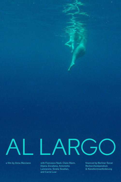 Movie poster for Al largo (2020)