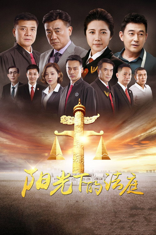 阳光下的法庭 poster