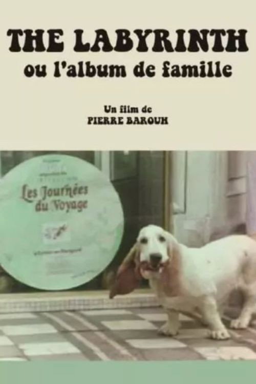 Movie poster for The Labyrinth ou L'album de famille (1976)