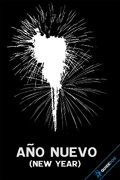 Movie poster for New Year (2010)