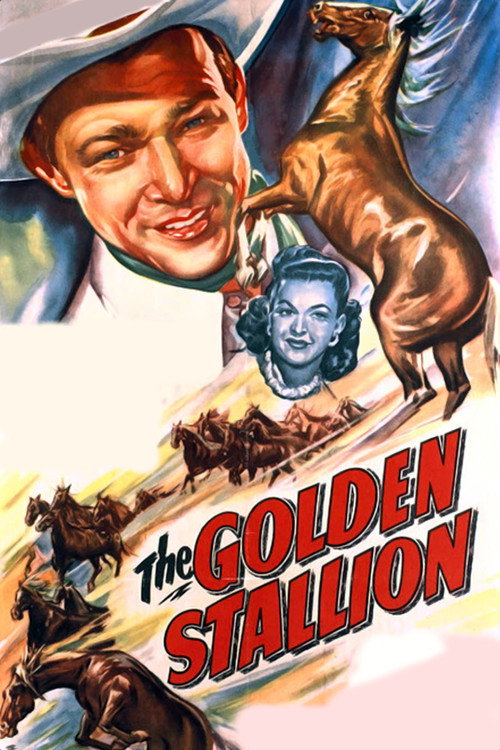 Movie poster for The Golden Stallion (1949)