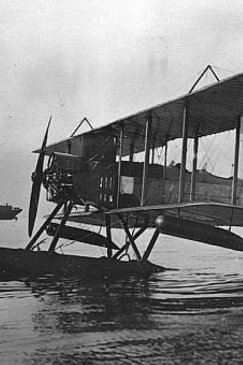 Movie poster for Wings of the Great War (2020)