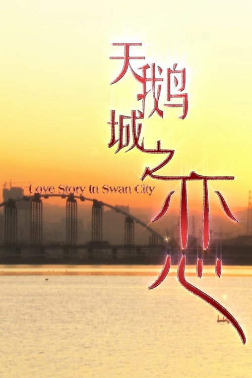 Movie poster for 天鹅城之恋 (2011)