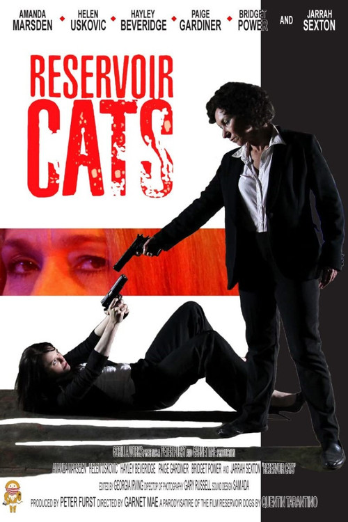 Movie poster for Reservoir Cats (2011)