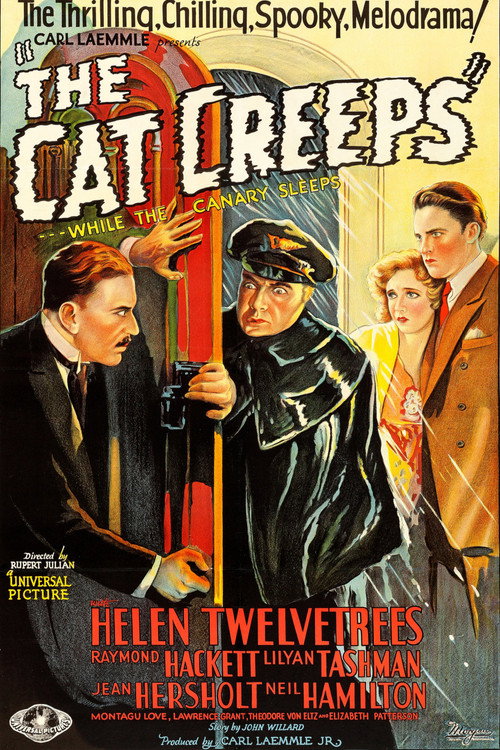 Movie poster for The Cat Creeps (1930)