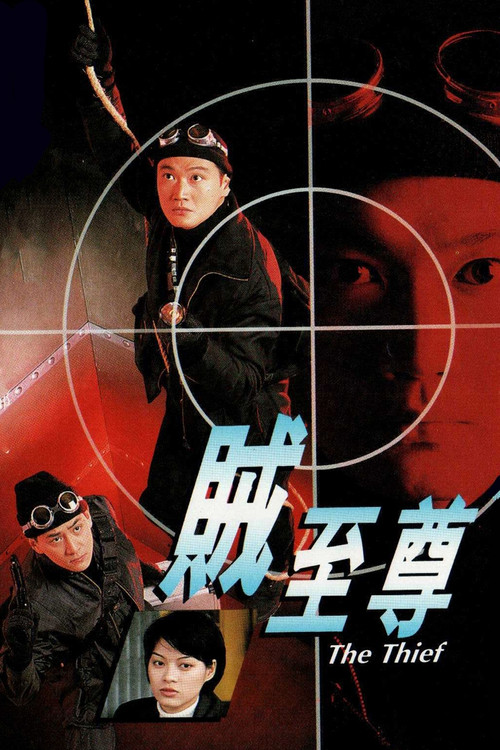 Movie poster for The Thief (1998)
