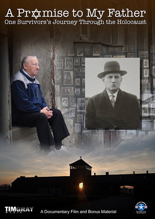 Movie poster for A Promise to My Father (2013)