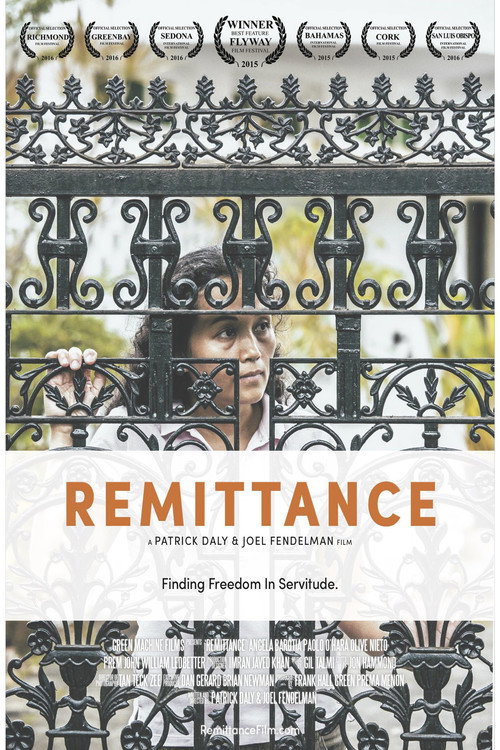 Movie poster for Remittance (2016)