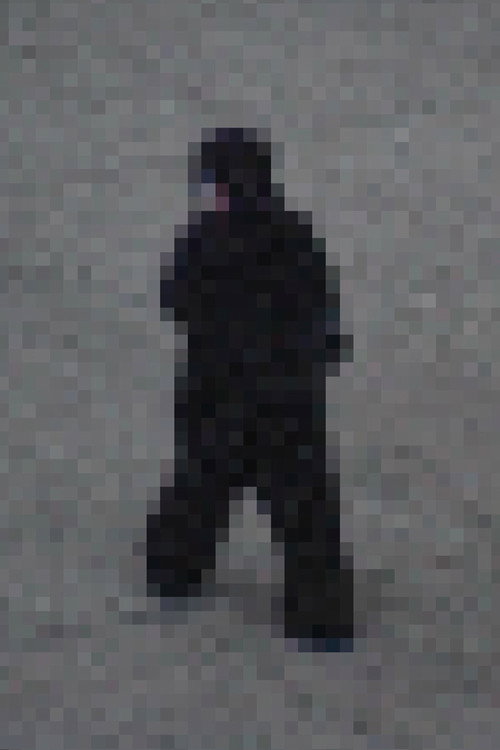 Movie poster for Gorilla Gorilla